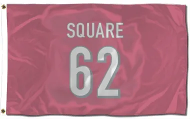 Pink Cincinnati Bengals Damion Square   Flag (3 X 5)